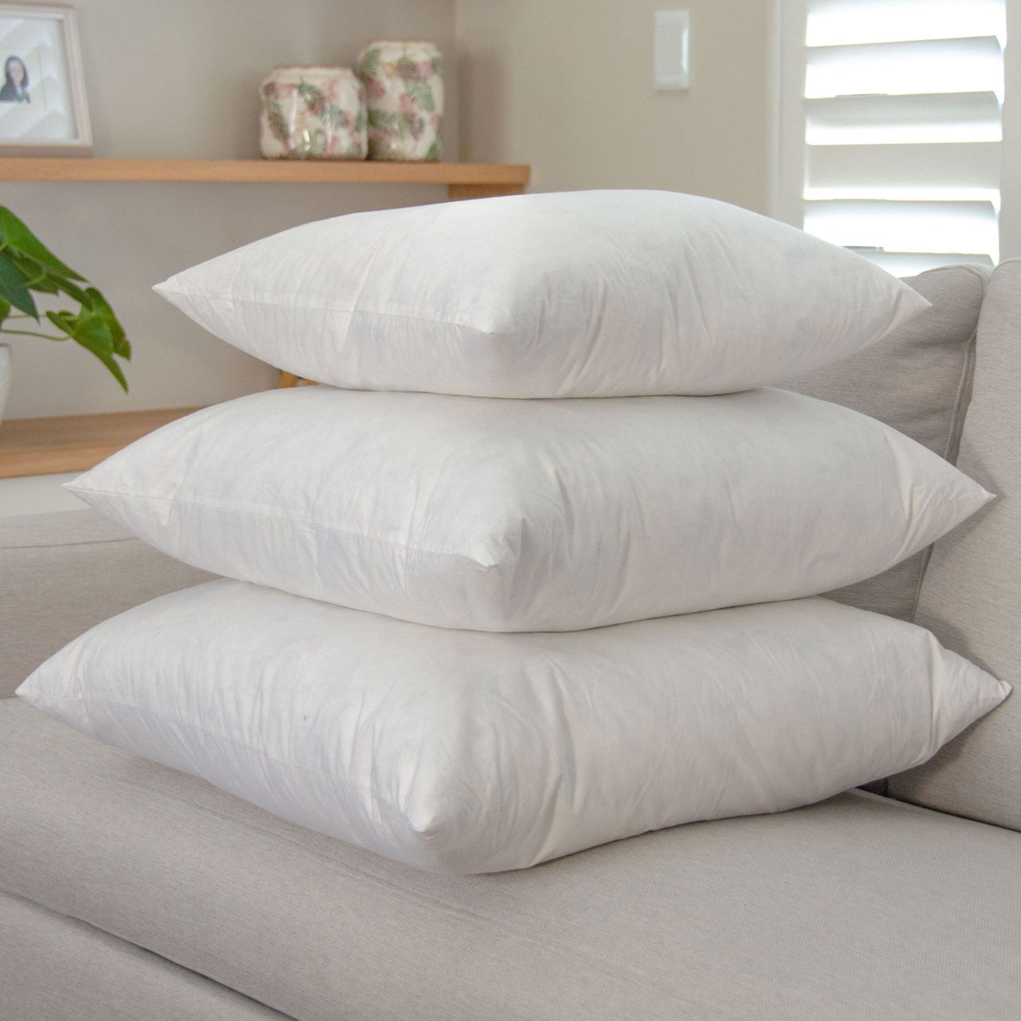 65x65cm Feather Cushion Inner - Pair